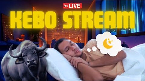 EMANG ADA STREAMING TAPI ORANGNYA TIDUR? MARI KITA TES SEBERAPA KEBO GUE.
