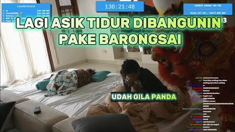AAA CLAN PAGI PAGI DIBANGUNIN BARONGSAI WKWKW