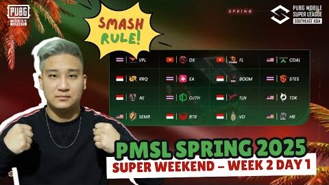 🔴 NOBAR PMSL SW2 D1 , INDOMINASI KAH ??  #livestream #live #pubgm #pubgmobile #pmslsea