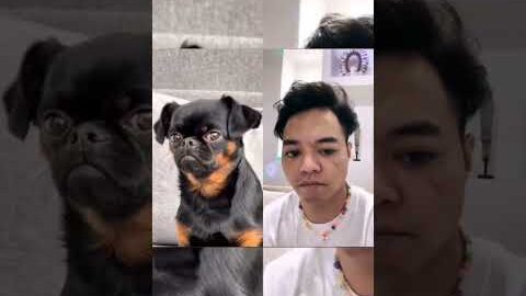 Reza Arap Menirukan Mimik Doggy Lucu Banget