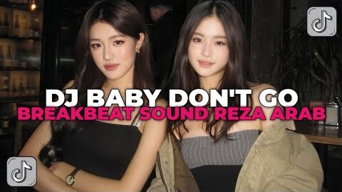 DJ BABY DON’T GO BREAKBEAT | DJ BABY DON’T GO TEMBAK TEMBAK LANGIT SOUND REZA ARAB VIRAL!!!