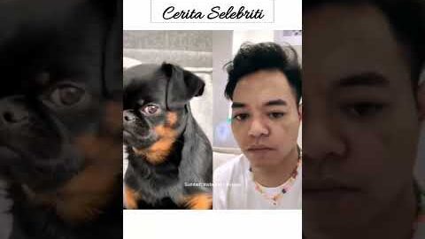 Tingkah Kocak Reza Arap Tirukan Ekspresi Hewan