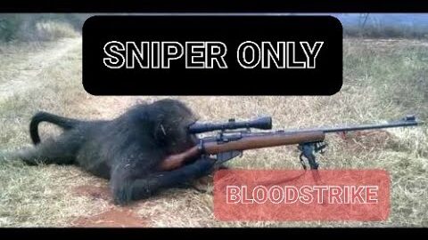 BloodStrike ☆♡ ▪︎No Commentary▪︎#BloodStrike #Gaming