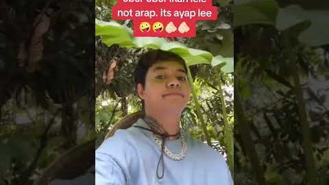 Reza Arab Oktovian Gamers Ganteng Idaman