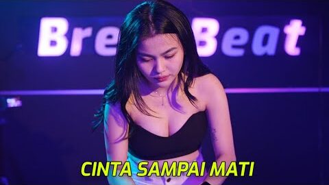 🔴 BEST DJ 2025 INDONESIA NONSTOP – BREAKBEAT REMIX 2025  B 14 LS