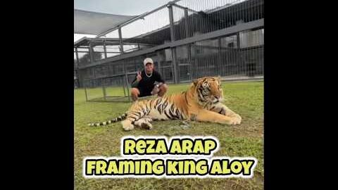 REZA ARAP FRAMING KING ALOY‼️BIKIN NGAKAK